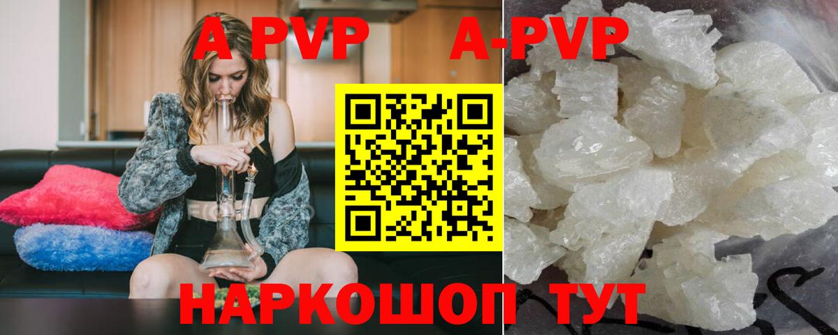 Alfa_PVP СК КРИС Кизилюрт