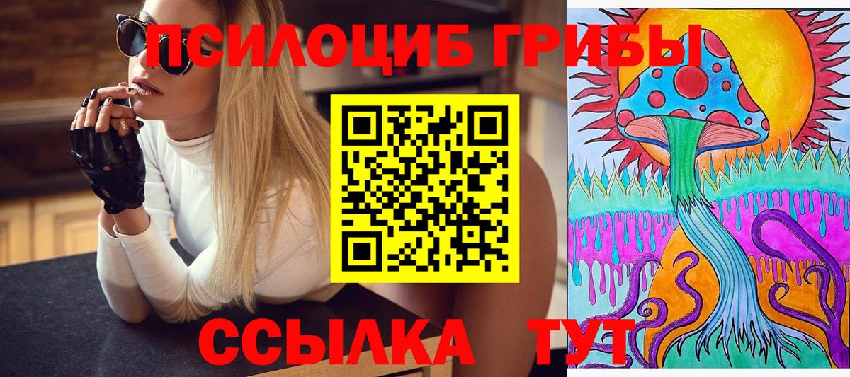Галлюциногенные грибы прущие грибы  Вход с VPN  Кизилюрт 